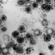 Illustration for article titled Cara Mengatasi Penyakit Herpes Genital
